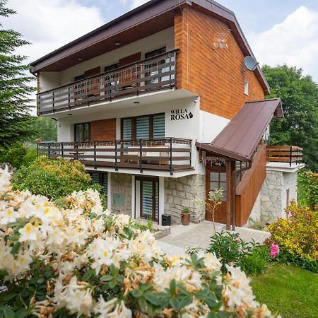 Willa Rosa-Apartamenty Z Prywatna Sauna Шклярска-Поремба Экстерьер фото